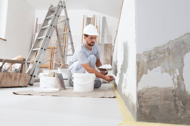 Best Drywall Sanding and Smoothing  in New Franklin, OH